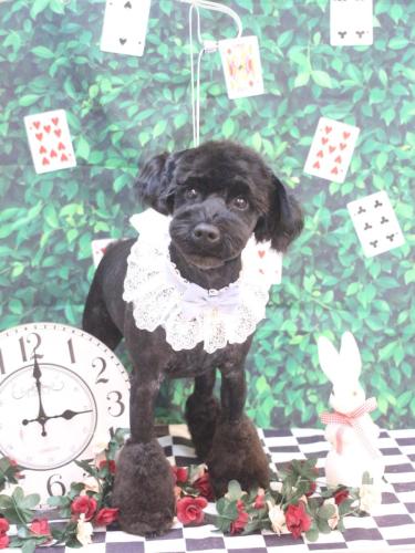 20240413レアくん